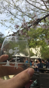 sakura and sake